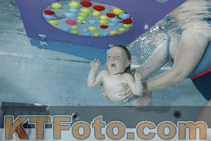 Foto 4255021