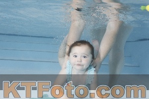 Foto 4255068