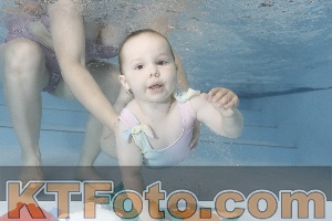 Foto 4255072