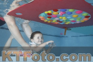 Foto 4255094