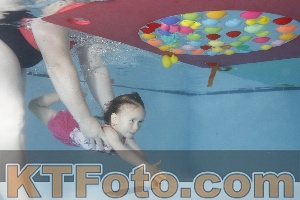 Foto 4255096
