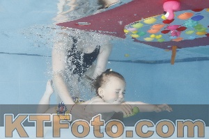Foto 4255108