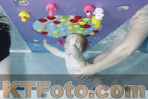 Foto 4255167