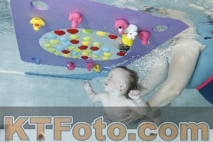 Foto 4255169