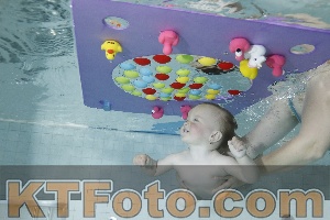 Foto 4255170