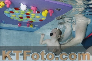 Foto 4255171