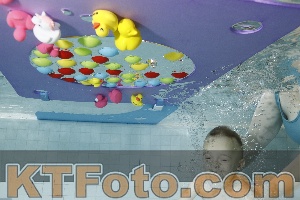 Foto 4255181