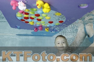 Foto 4255182