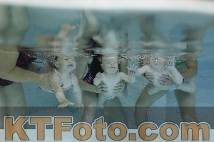 Foto 4255188