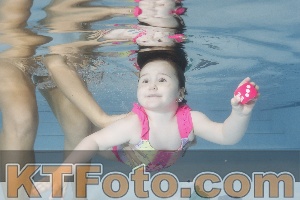 Foto 4255210