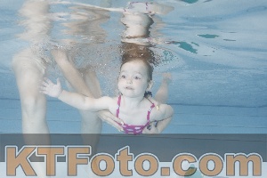 Foto 4255211