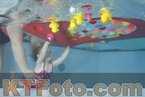 Foto 4255228