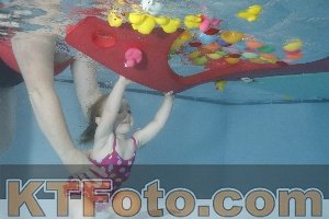 Foto 4255229