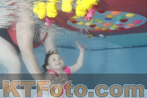 Foto 4255231