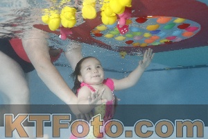 Foto 4255232