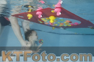 Foto 4255234