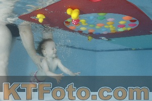 Foto 4255237