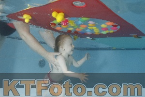 Foto 4255239