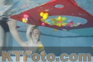 Foto 4255241