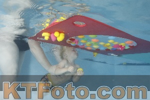 Foto 4255242