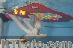 Foto 4255243