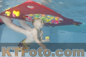 Foto 4255244