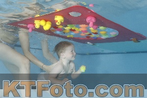 Foto 4255246