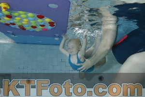 Foto 4255304