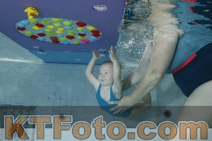Foto 4255305