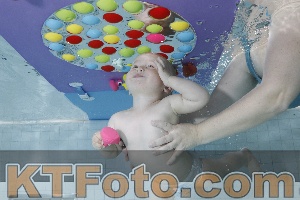Foto 4255312