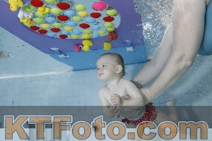 Foto 4255315