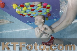 Foto 4255316
