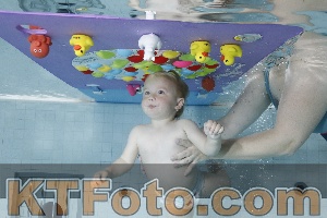 Foto 4255319