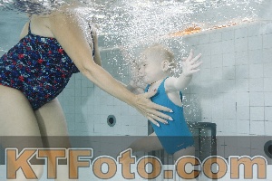 Foto 4255321