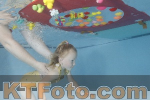 Photo 4255330