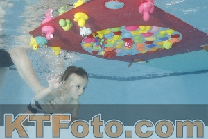 Photo 4255332