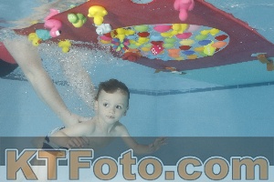 Photo 4255333