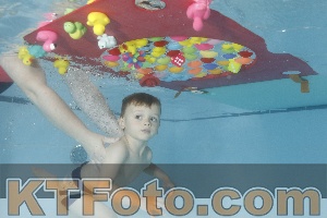 Photo 4255334