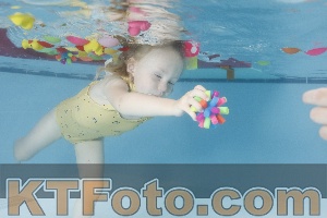 Photo 4255338