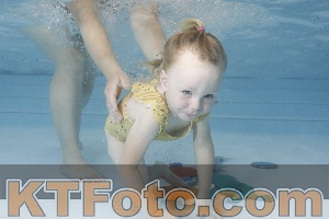 Photo 4255353
