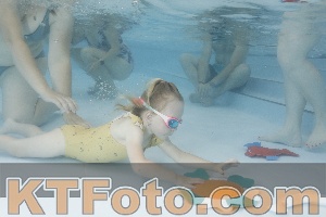Photo 4255364