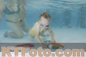Foto 4255371