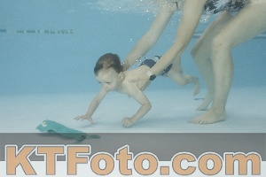 Foto 4255374