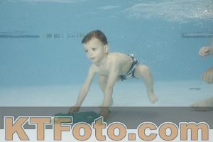 Photo 4255376