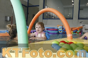 Photo 4255397