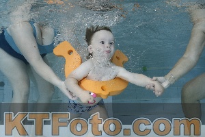 Photo 4255422