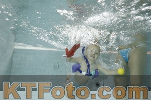 Photo 4255428