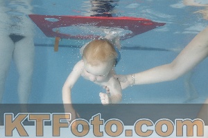 Foto 4255478