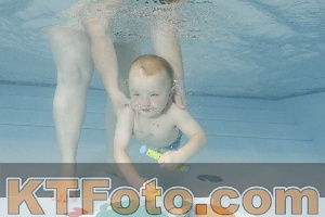 Foto 4255482