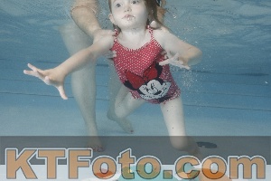 Foto 4255485